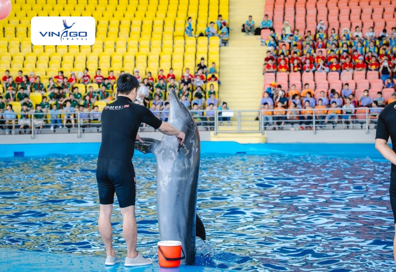 Da Nang Dolphinarium Show Tickets 2026 | Book Online - Ảnh 3
